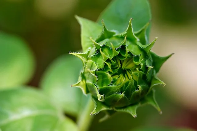 阿里域名解析设置-阿里域名解析设置在哪?