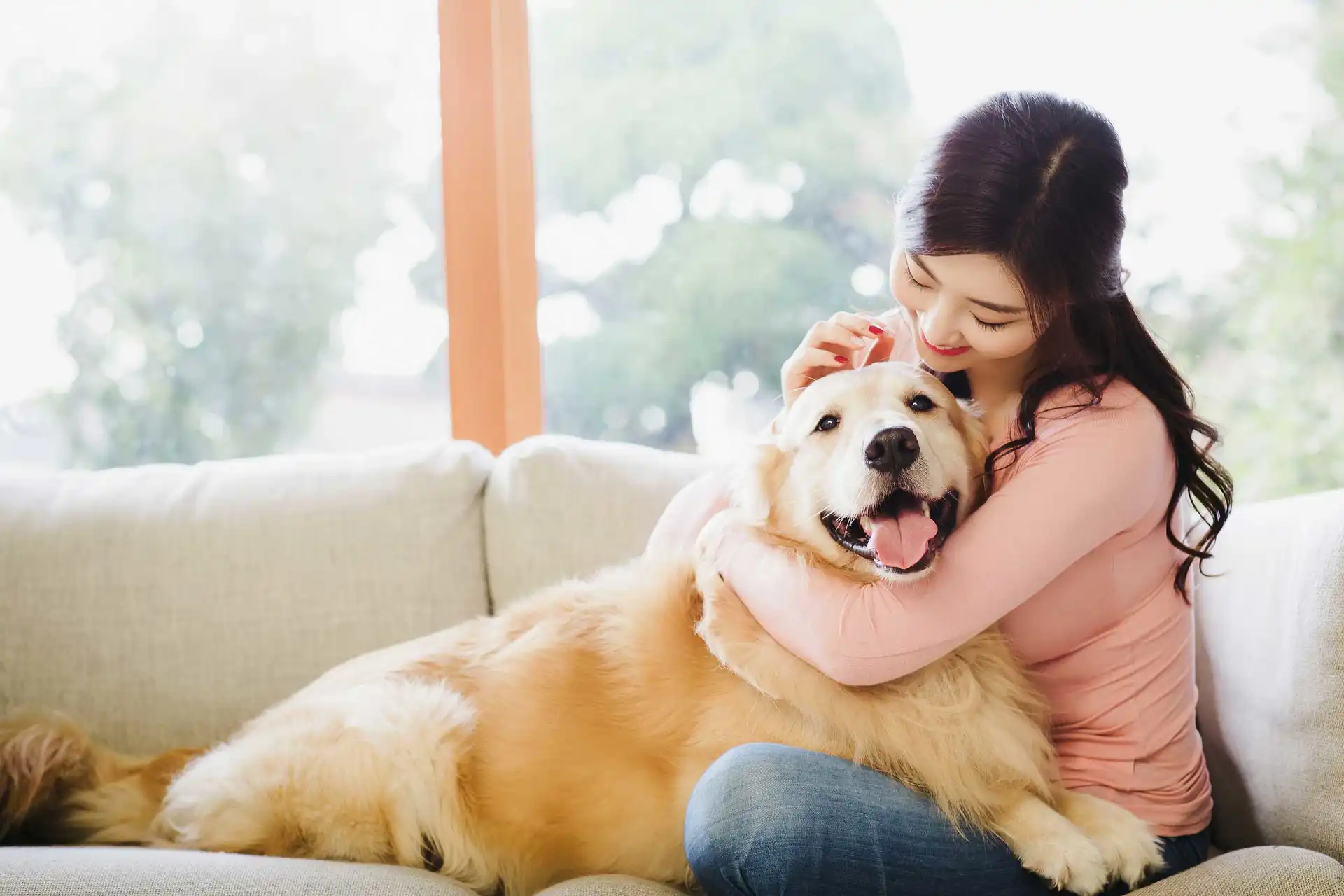 在TikTok上爆火！亚马逊感恩节热门产品推荐！