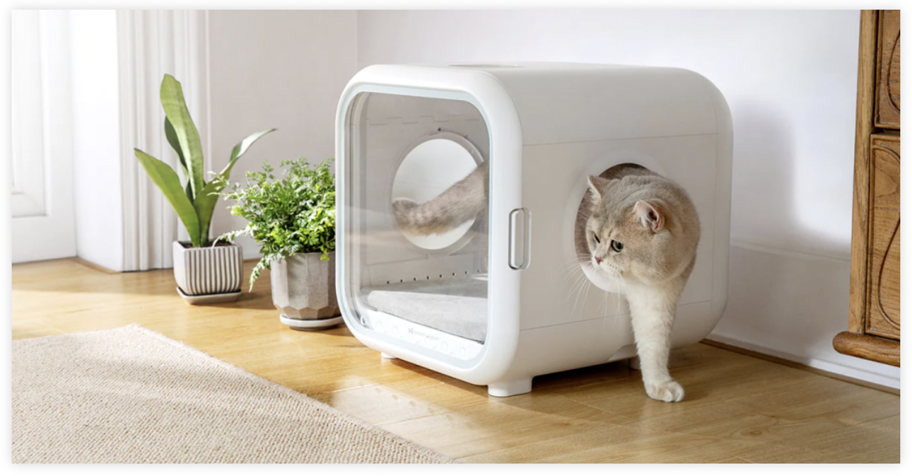 出海仅半年，宠物大卖拿下亚马逊日本站类目第一！