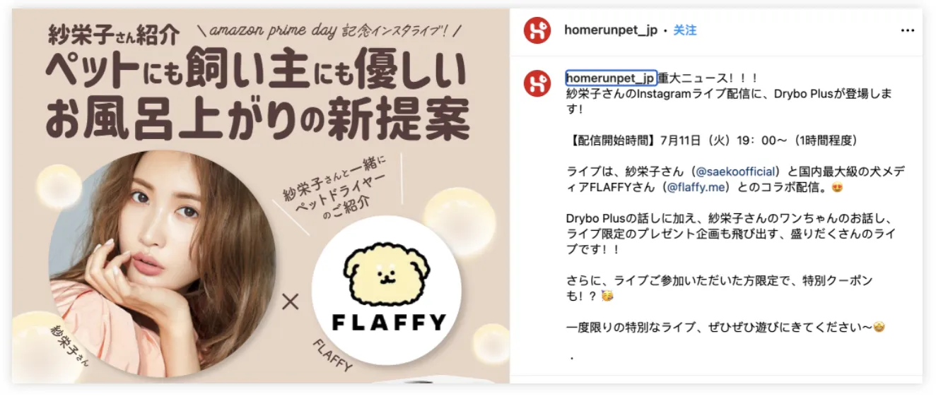 出海仅半年，宠物大卖拿下亚马逊日本站类目第一！