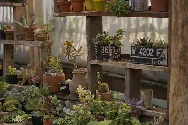 亚马逊收款账号怎么替换(亚马逊收款账号可以更改吗)