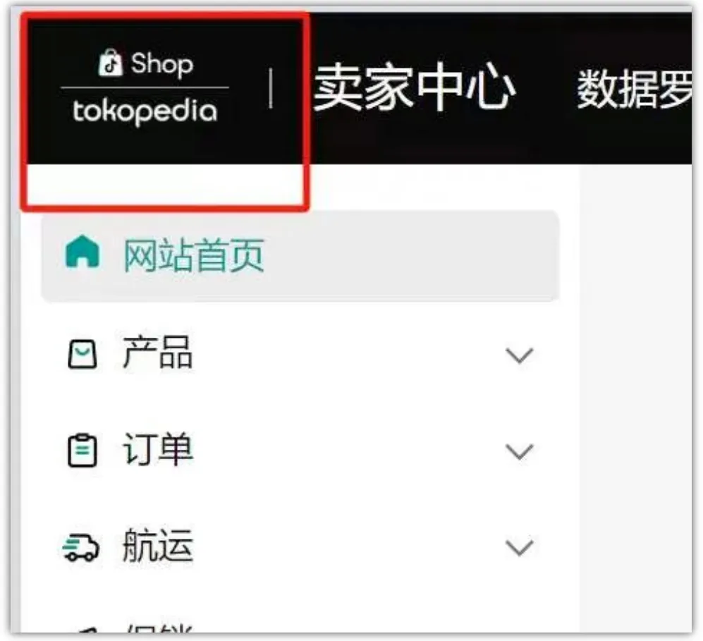 TikTok重返印尼有4个月试用期,卖家关心的问题都在这里了