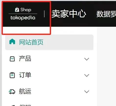 TikTok重返印尼有4个月试用期,卖家关心的问题都在这里了