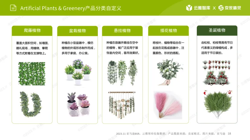 销量飙升269%！圣诞诺福克松枝遭疯抢
