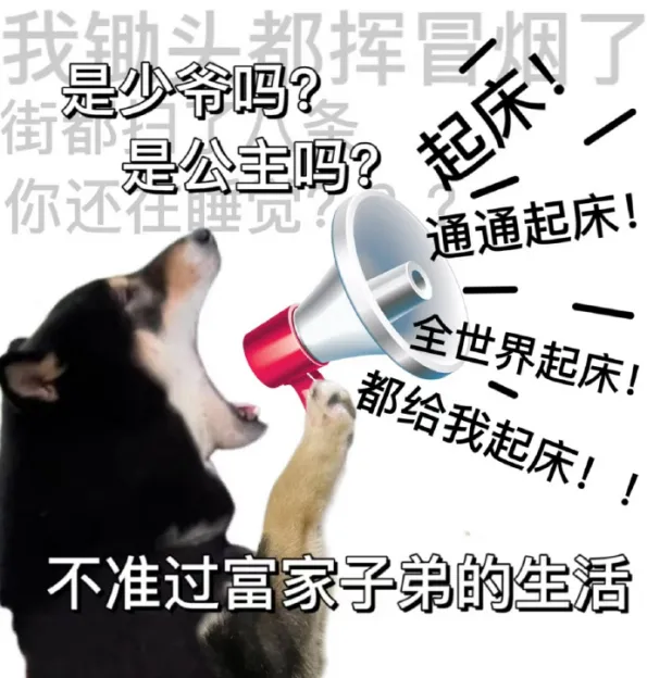 我重生了！我要夺回我在跨境电商的一切！