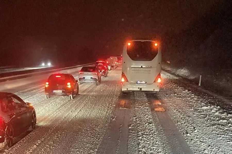 急！断货预警！欧洲大雪颁布全面驾驶禁令！罢工潮不止！