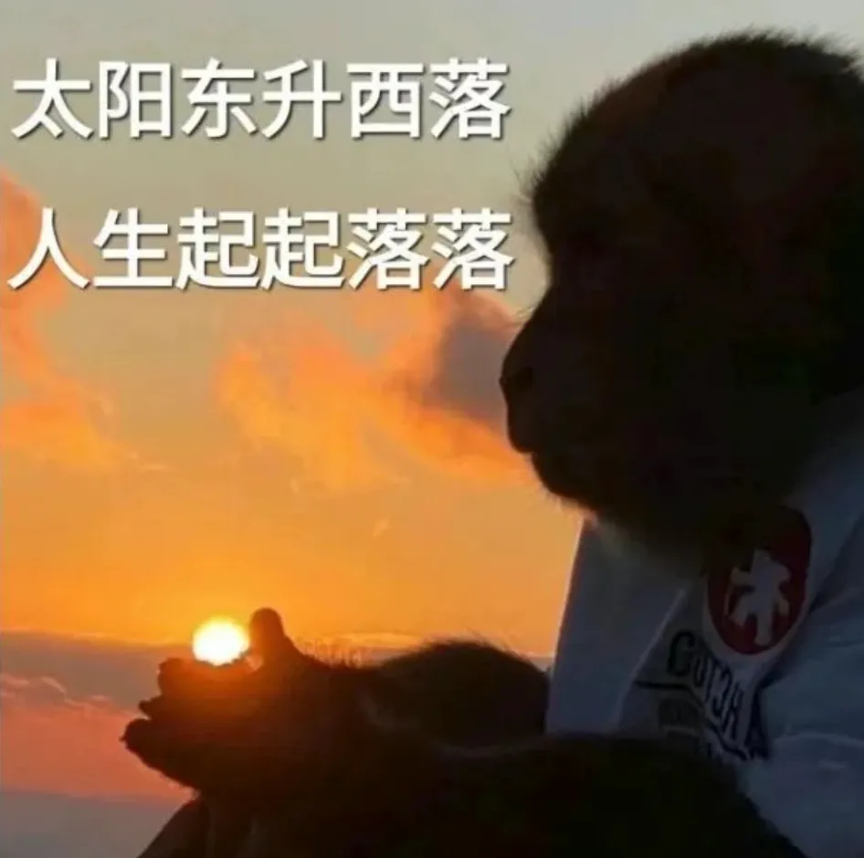 急!断货预警!欧洲大雪颁布全面驾驶禁令!罢工潮不止!