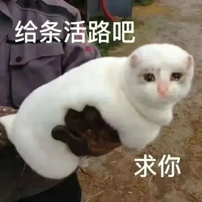 读懂亚马逊新政三大关键点!别被拒收或额外收费!