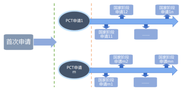 “一带一路”国家专利申请实务