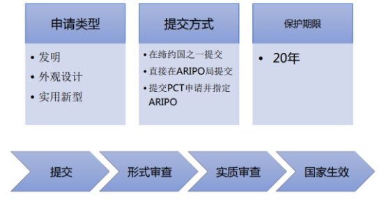 “一带一路”国家专利申请实务