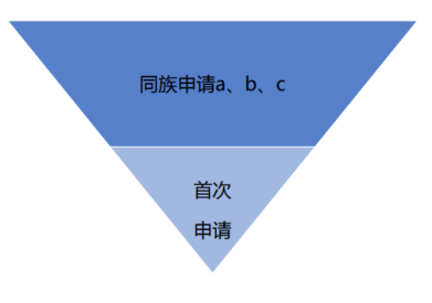 “一带一路”国家专利申请实务