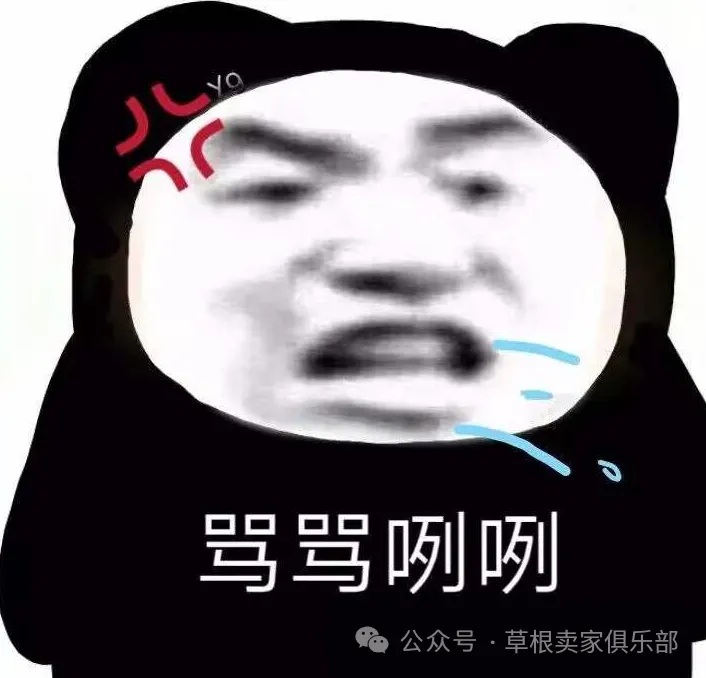 新《公司法》通过!听说有办法约束跟卖了?卖家们赶紧研究!