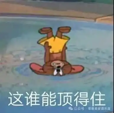亚马逊频繁扫号，原因层出不穷！解决思路已提供
