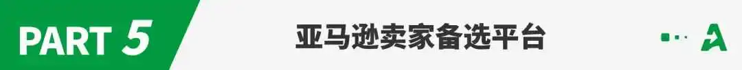 2024年亚马逊卖家数据报告