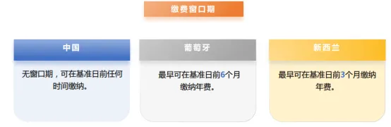 【今日分享】“一带一路”国家专利年费政策（三）