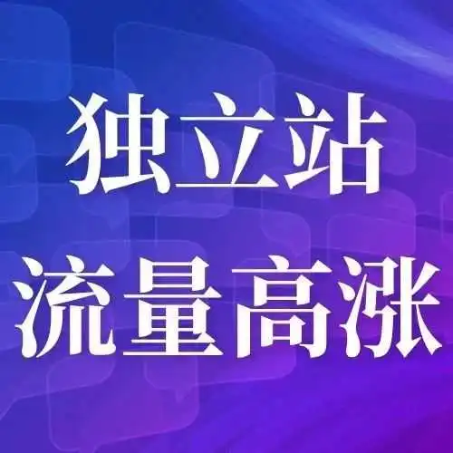 运营干货丨品牌独立站卖家必看！轻松应对流量高涨的形势！