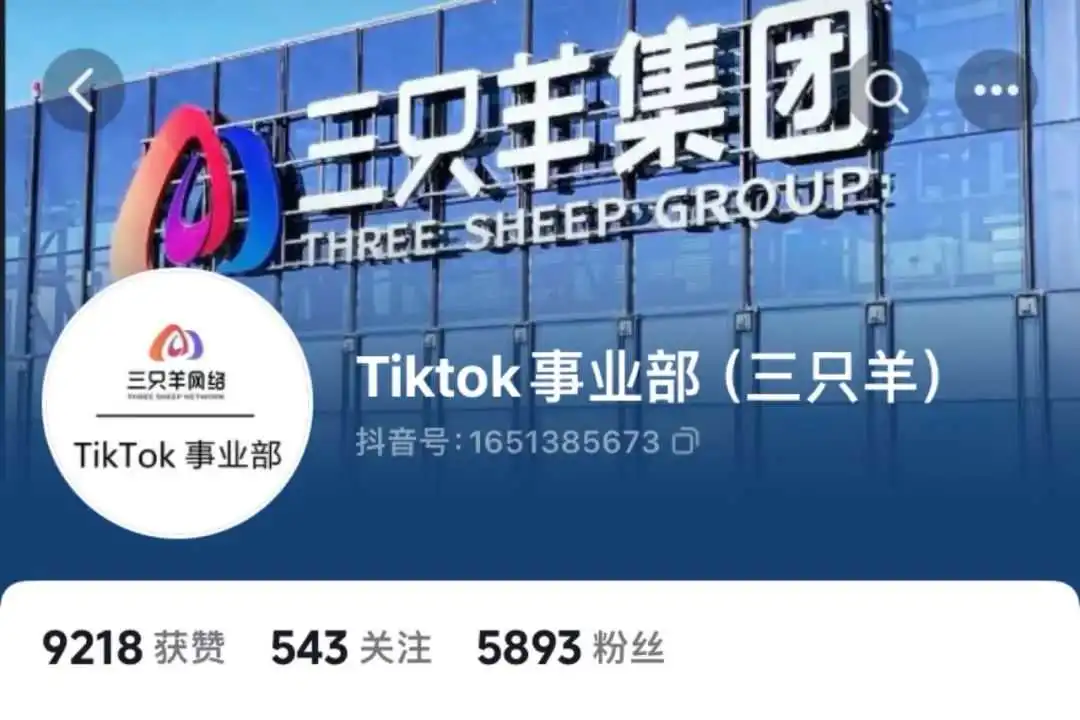 行业观察丨月销3万美刀！“平价珠宝”勇闯东南亚，TikTok Shop成就小饰品的逆袭