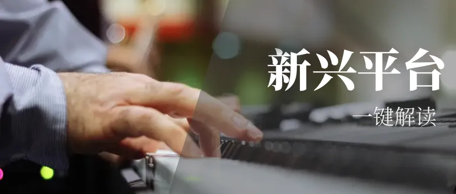 卖家需要关注的12个新兴平台，你最看好哪家？