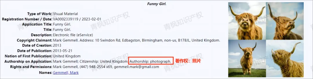 离谱!同一链接,卖家被3个原告起诉!