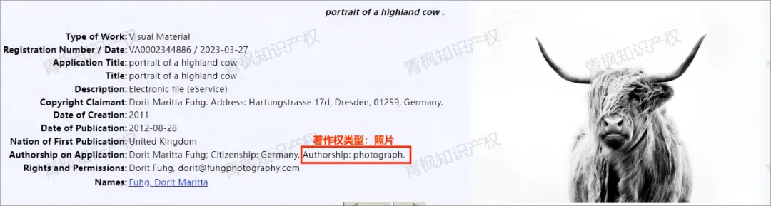 离谱!同一链接,卖家被3个原告起诉!