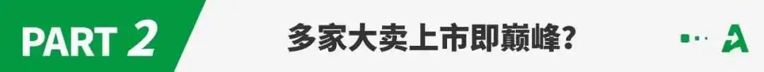 上市即亏损!多家大卖IPO后“现出原形”