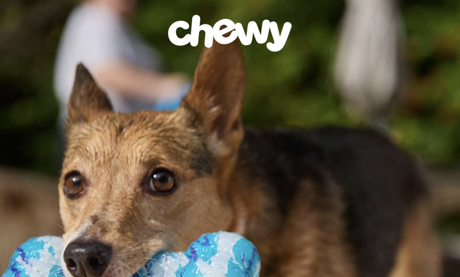 宠物电商Chewy 23年营收111亿美元，净利下滑20%