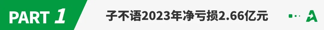 甩不掉的“亚马逊依赖症”，大卖上市后亏损2.66亿！