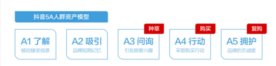 TikTok十年难遇的流量红利，跨境企业如何抓住？