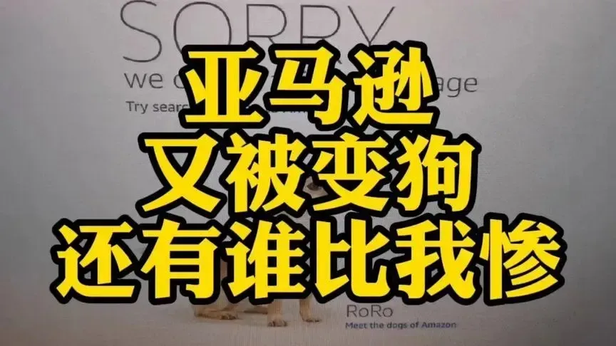 亚马逊大扫号 | 什么情况?没有违规操作的老号都封!