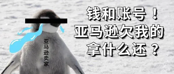undefined 亚马逊大扫号 | 什么情况?没有违规操作的老号都封!