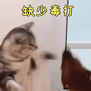 退出TikTok美国市场的卖家都去了哪？