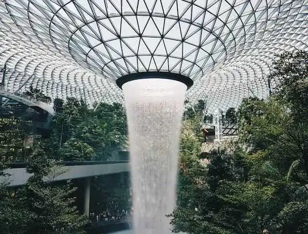 新加坡的商标申请和续展