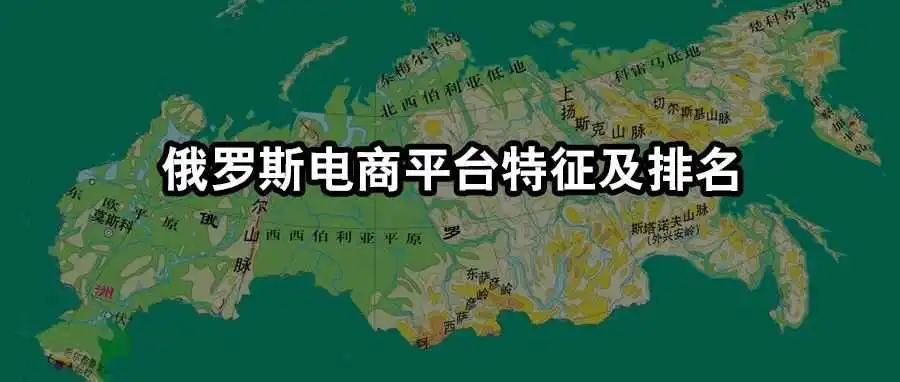 俄罗斯电商平台特征及排名