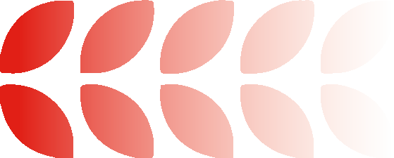 活动 | 五载荣光映天盛,跨境启航创辉煌!!!