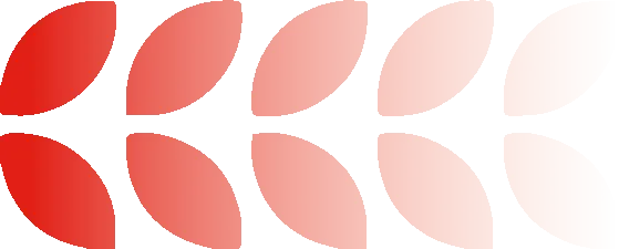 活动 | 五载荣光映天盛,跨境启航创辉煌!!!