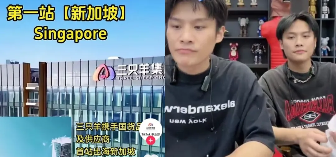 海外掘金!小杨哥、东方甄选入局TikTok