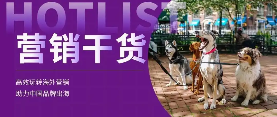 宠物用品出海,瞄准这些市场,躺赚!