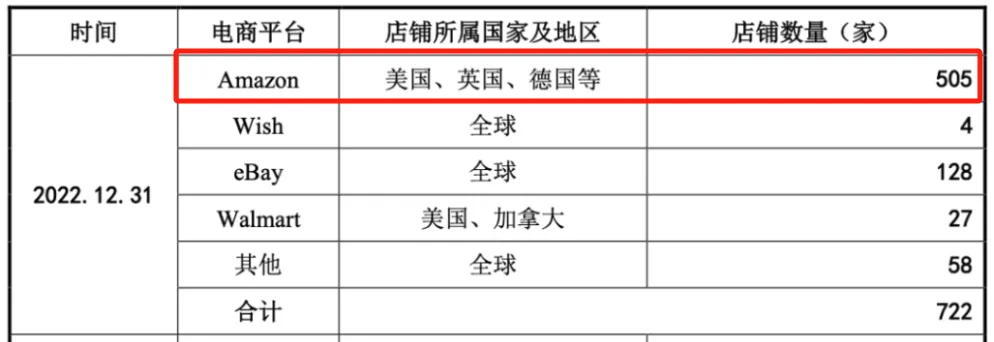 赛维“品牌全家桶”的胜局与危机