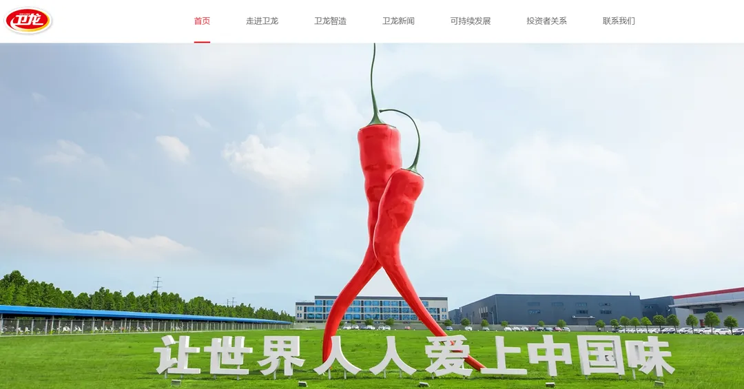 卫龙(国内领先的辣味休闲食品企业)