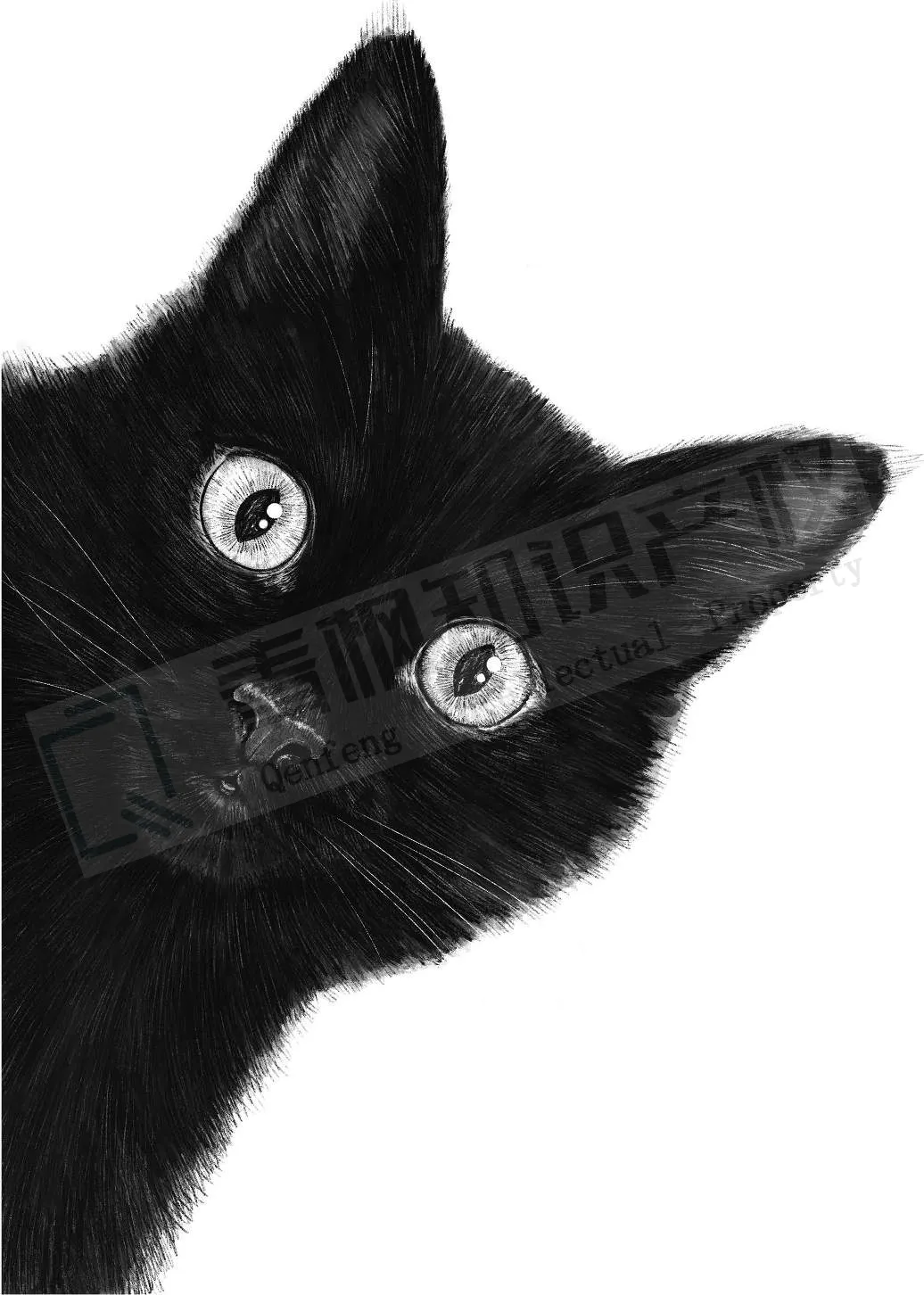 版权维权!这些插画多用于装饰画和手工类商品!