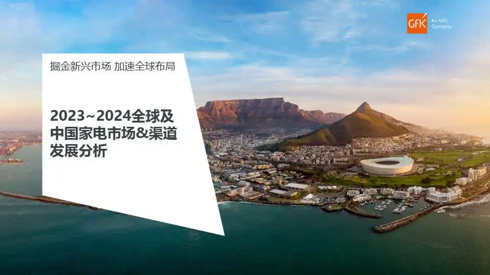 《2023-2024全球及中国家电市场&渠道发展分析》PDF下载