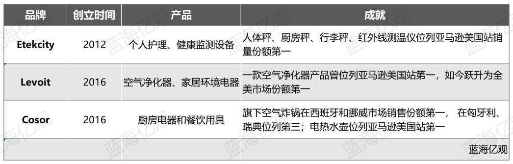 亚马逊小家电Top卖家押宝TikTok，单品卖了9万件