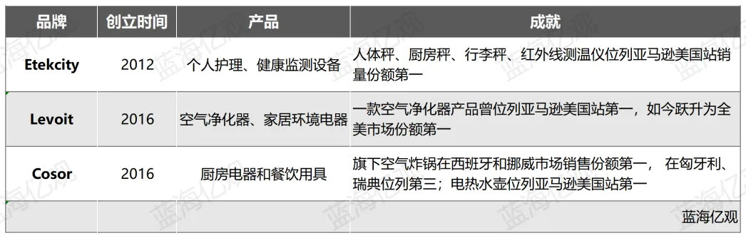 亚马逊小家电Top卖家押宝TikTok，单品卖了9万件