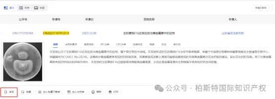 国内专利详细信息、应缴年费查询方法