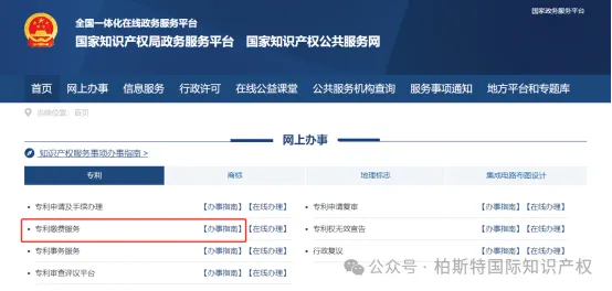 国内专利详细信息、应缴年费查询方法
