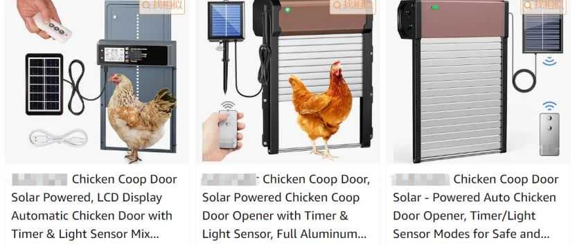 亚马逊避坑产品盘点：鸡门Chicken Coop Door喂鸡器Chicken Feeder橡胶鸡Rubber Chicken