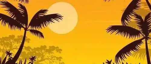 货主和货代开撕,究竟谁在撒谎?