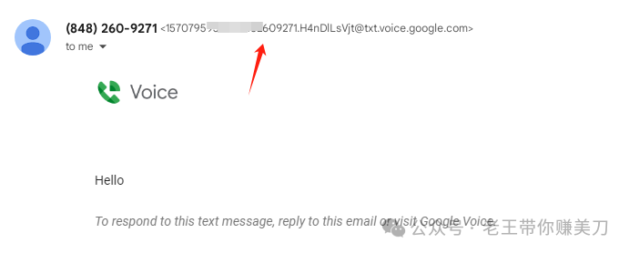 避免Google Voice被回收的方法