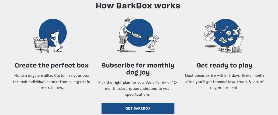 宠物经济爆发!BarkBox如何抓住盲盒热潮,成为宠物界网红品牌?