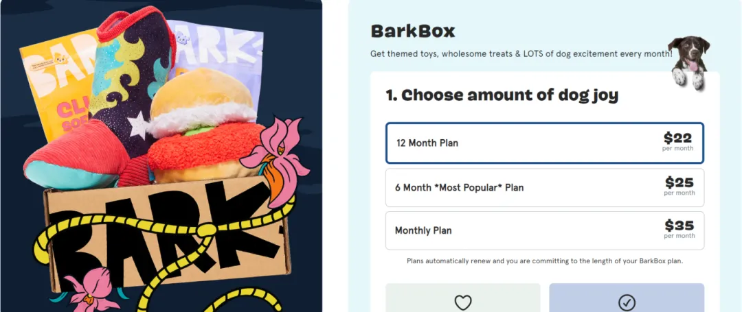 宠物经济爆发!BarkBox如何抓住盲盒热潮,成为宠物界网红品牌?